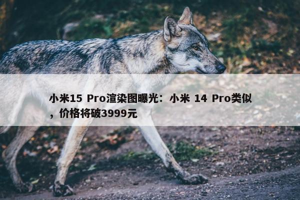 小米15 Pro渲染图曝光：小米 14 Pro类似，价格将破3999元