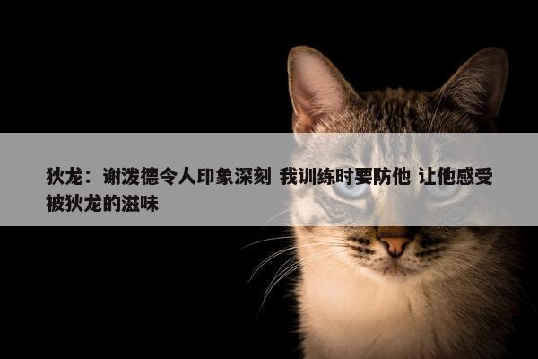 狄龙：谢泼德令人印象深刻 我训练时要防他 让他感受被狄龙的滋味