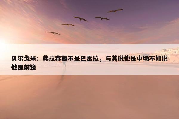 贝尔戈米：弗拉泰西不是巴雷拉，与其说他是中场不如说他是前锋