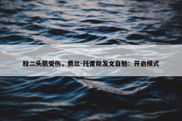 股二头肌受伤，费兰-托雷斯发文自勉：开启模式