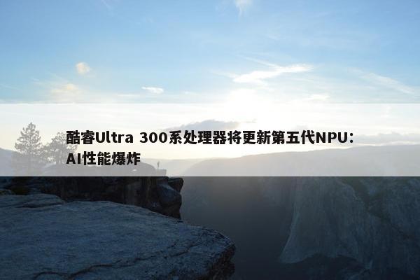 酷睿Ultra 300系处理器将更新第五代NPU：AI性能爆炸