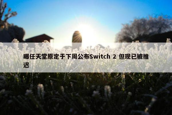 曝任天堂原定于下周公布Switch 2 但现已被推迟