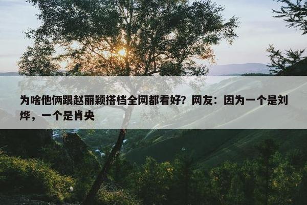 为啥他俩跟赵丽颖搭档全网都看好？网友：因为一个是刘烨，一个是肖央