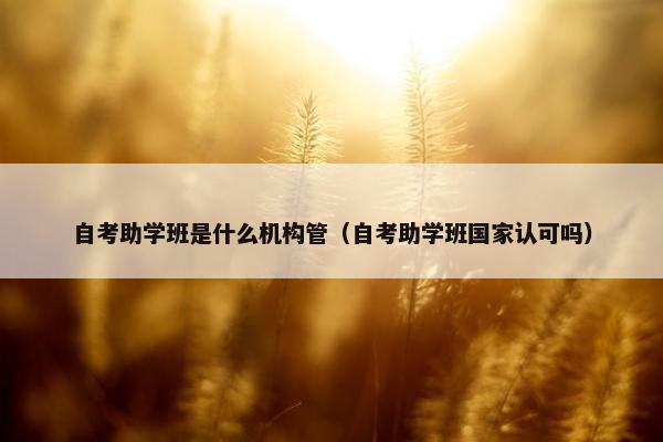 自考助学班是什么机构管（自考助学班国家认可吗）