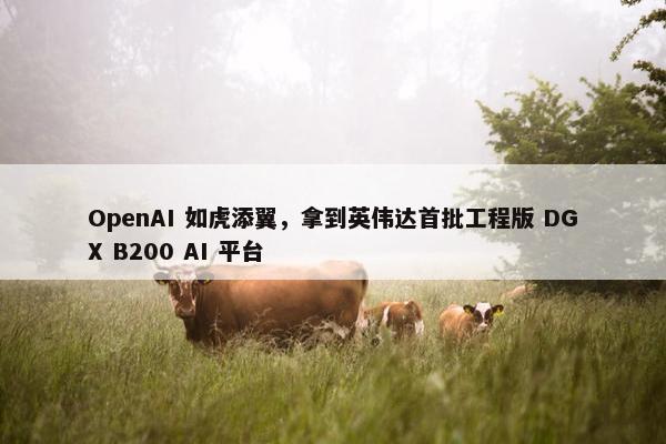 OpenAI 如虎添翼，拿到英伟达首批工程版 DGX B200 AI 平台