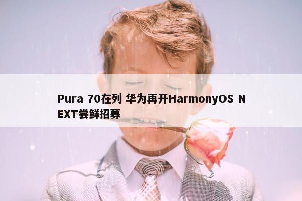 Pura 70在列 华为再开HarmonyOS NEXT尝鲜招募