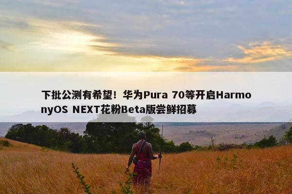 下批公测有希望！华为Pura 70等开启HarmonyOS NEXT花粉Beta版尝鲜招募