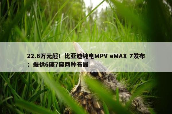 22.6万元起！比亚迪纯电MPV eMAX 7发布：提供6座7座两种布局