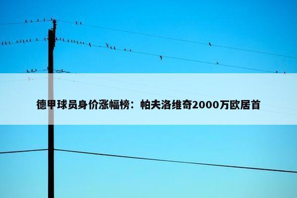 德甲球员身价涨幅榜：帕夫洛维奇2000万欧居首