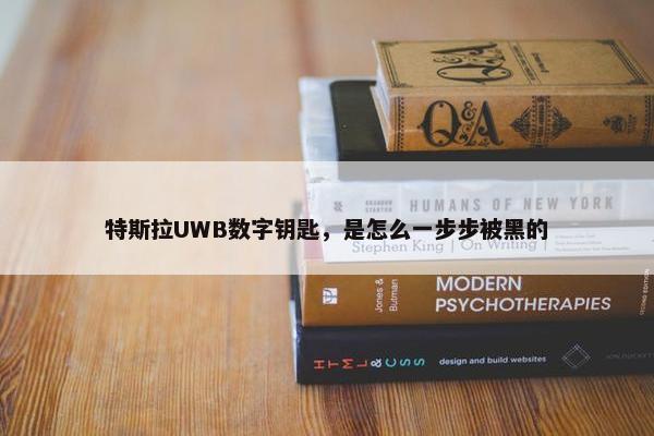 特斯拉UWB数字钥匙，是怎么一步步被黑的