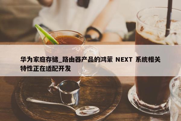 华为家庭存储_路由器产品的鸿蒙 NEXT 系统相关特性正在适配开发