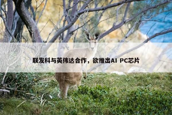 联发科与英伟达合作，欲推出AI PC芯片