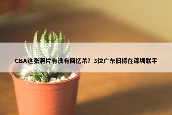 CBA这张照片有没有回忆杀？3位广东旧将在深圳联手