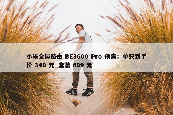 小米全屋路由 BE3600 Pro 预售：单只到手价 349 元_套装 699 元