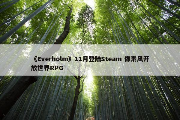 《Everholm》11月登陆Steam 像素风开放世界RPG