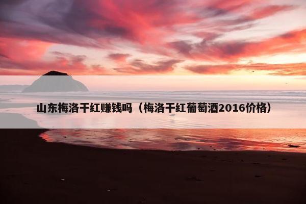 山东梅洛干红赚钱吗（梅洛干红葡萄酒2016价格）