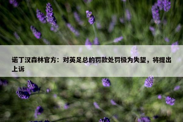 诺丁汉森林官方：对英足总的罚款处罚极为失望，将提出上诉