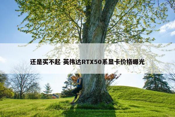 还是买不起 英伟达RTX50系显卡价格曝光