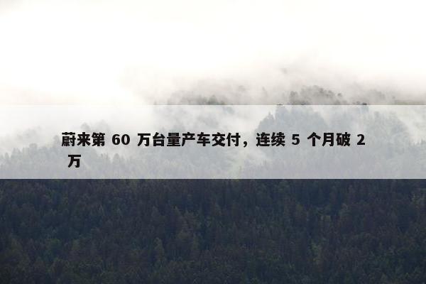 蔚来第 60 万台量产车交付，连续 5 个月破 2 万