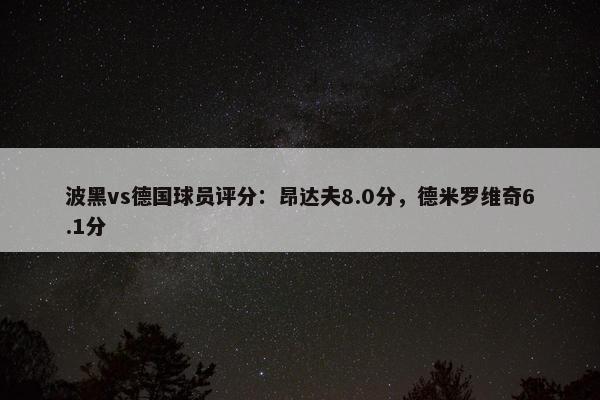 波黑vs德国球员评分：昂达夫8.0分，德米罗维奇6.1分