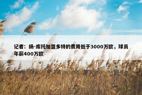 记者：扬-库托加盟多特的费用低于3000万欧，球员年薪400万欧