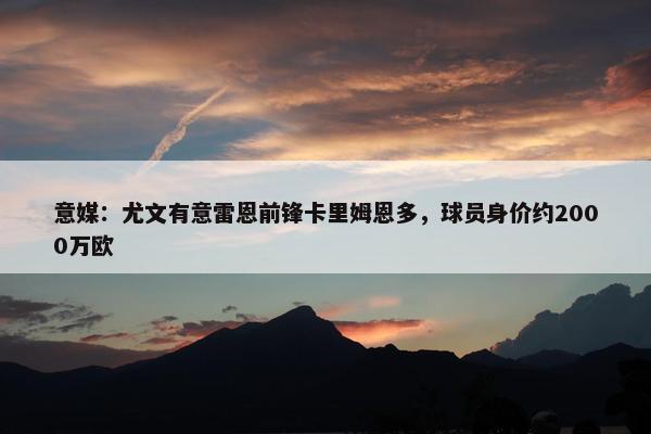 意媒：尤文有意雷恩前锋卡里姆恩多，球员身价约2000万欧