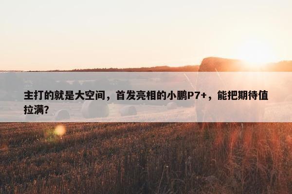 主打的就是大空间，首发亮相的小鹏P7+，能把期待值拉满？