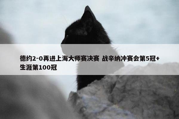 德约2-0再进上海大师赛决赛 战辛纳冲赛会第5冠+生涯第100冠