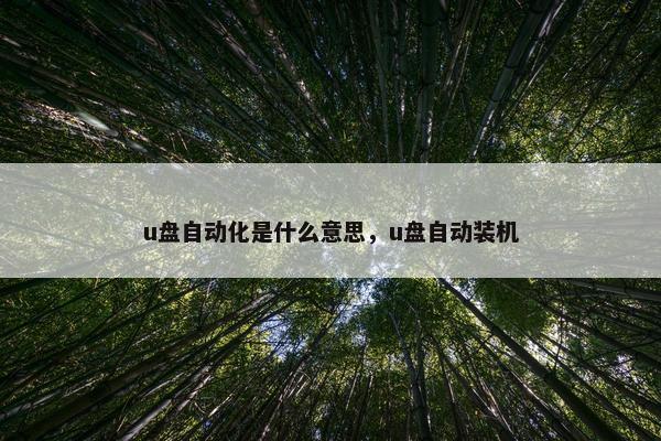 u盘自动化是什么意思，u盘自动装机