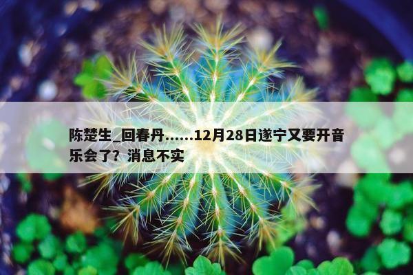 陈楚生_回春丹......12月28日遂宁又要开音乐会了？消息不实