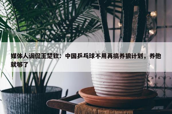 媒体人调侃王楚钦：中国乒乓球不用再搞养狼计划，养他就够了