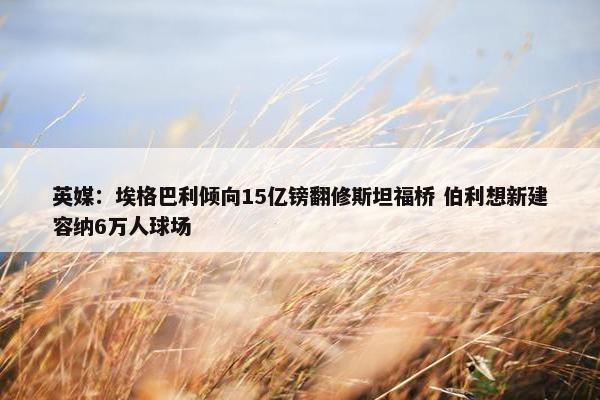 英媒：埃格巴利倾向15亿镑翻修斯坦福桥 伯利想新建容纳6万人球场