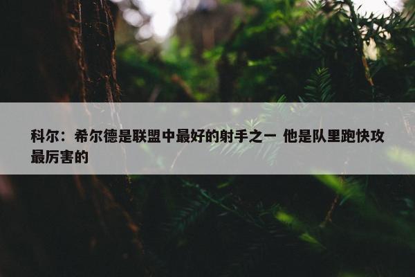 科尔：希尔德是联盟中最好的射手之一 他是队里跑快攻最厉害的