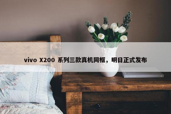 vivo X200 系列三款真机同框，明日正式发布