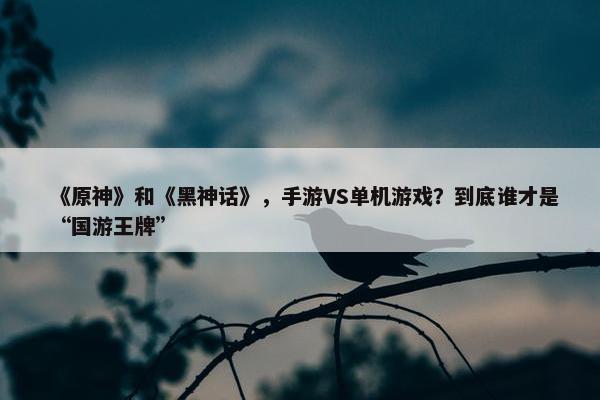 《原神》和《黑神话》，手游VS单机游戏？到底谁才是“国游王牌”