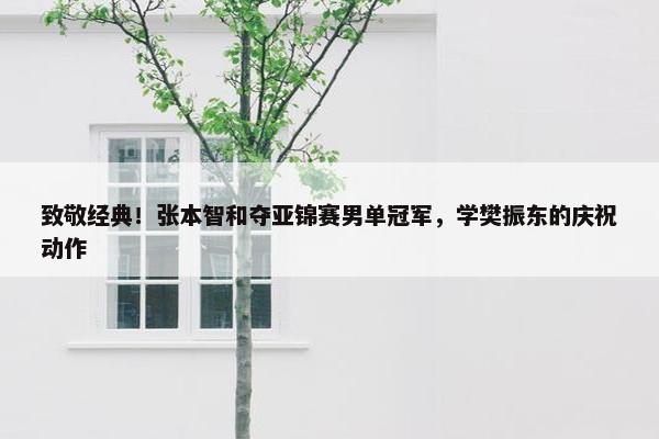 致敬经典！张本智和夺亚锦赛男单冠军，学樊振东的庆祝动作