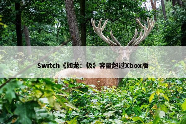 Switch《如龙：极》容量超过Xbox版