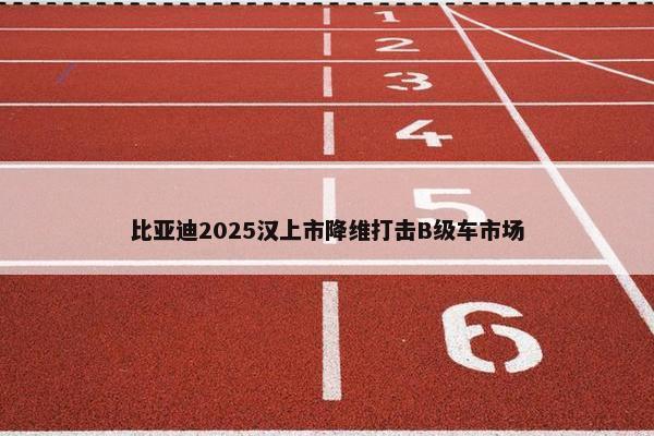 比亚迪2025汉上市降维打击B级车市场