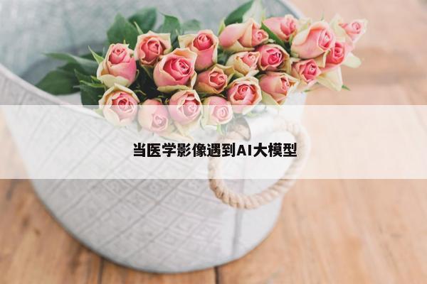 当医学影像遇到AI大模型