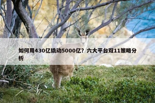 如何用430亿撬动5000亿？六大平台双11策略分析