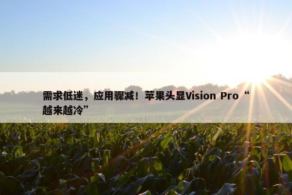 需求低迷，应用骤减！苹果头显Vision Pro“越来越冷”