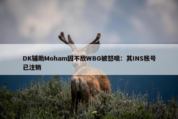 DK辅助Moham因不敌WBG被怒喷：其INS账号已注销