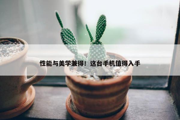 性能与美学兼得！这台手机值得入手