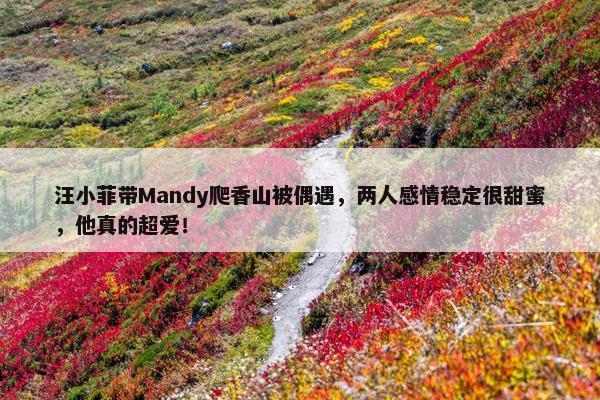 汪小菲带Mandy爬香山被偶遇，两人感情稳定很甜蜜，他真的超爱！