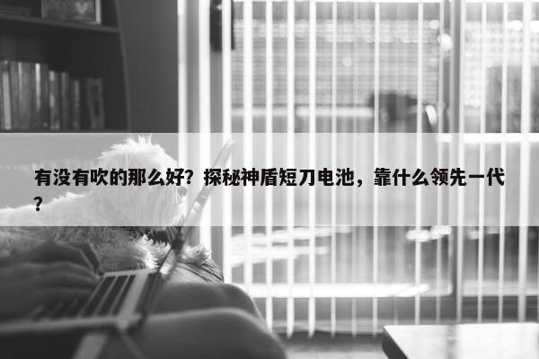 有没有吹的那么好？探秘神盾短刀电池，靠什么领先一代？