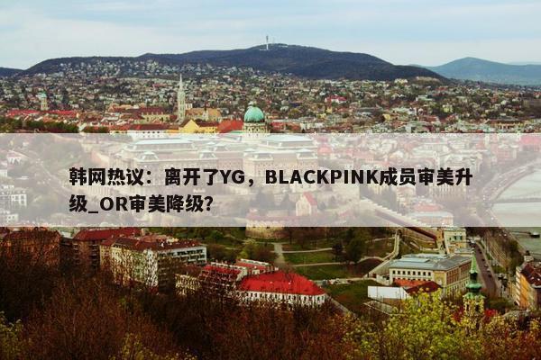 韩网热议：离开了YG，BLACKPINK成员审美升级_OR审美降级？