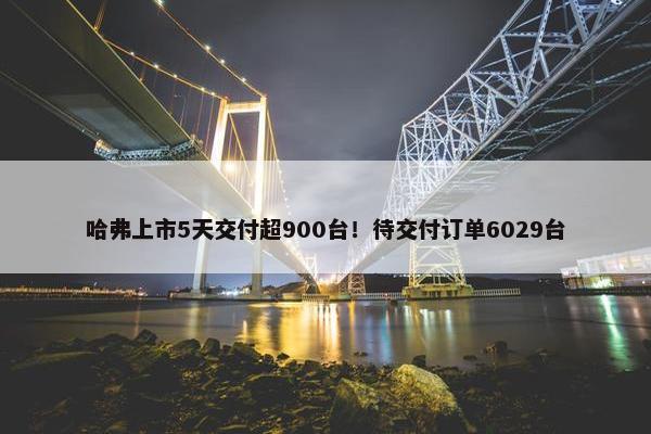 哈弗上市5天交付超900台！待交付订单6029台