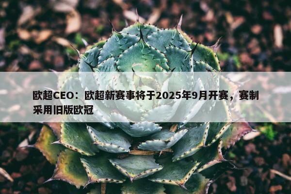 欧超CEO：欧超新赛事将于2025年9月开赛，赛制采用旧版欧冠