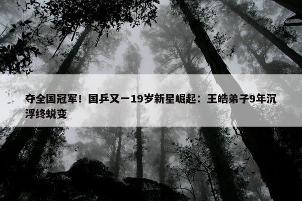 夺全国冠军！国乒又一19岁新星崛起：王皓弟子9年沉浮终蜕变