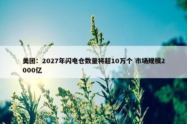 美团：2027年闪电仓数量将超10万个 市场规模2000亿